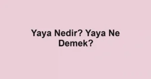 Yaya Nedir? Yaya Ne Demek?