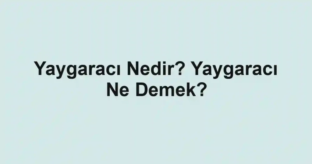 Yaygaracı Nedir? Yaygaracı Ne Demek?