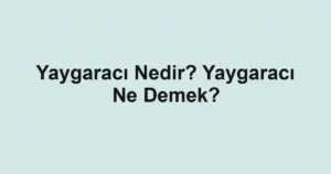 Yaygaracı Nedir? Yaygaracı Ne Demek?