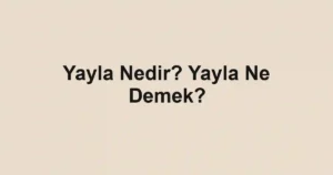 Yayla Nedir? Yayla Ne Demek?