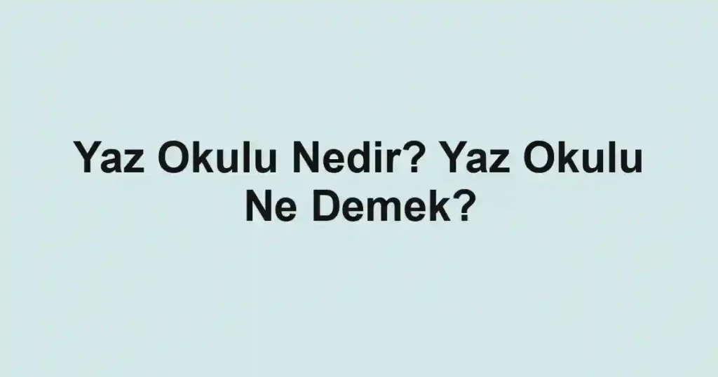 Yaz Okulu Nedir? Yaz Okulu Ne Demek?