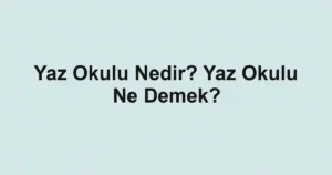 Yaz Okulu Nedir? Yaz Okulu Ne Demek?