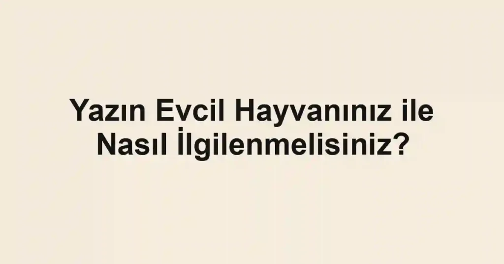 Yazın Evcil Hayvanınız ile Nasıl İlgilenmelisiniz?