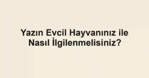 Yazın Evcil Hayvanınız ile Nasıl İlgilenmelisiniz?