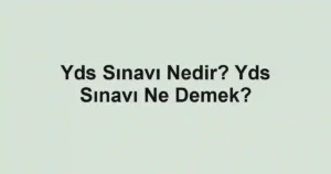 Yds Sınavı Nedir? Yds Sınavı Ne Demek?