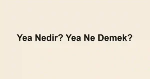 Yea Nedir? Yea Ne Demek?