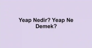 Yeap Nedir? Yeap Ne Demek?