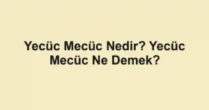 Yecüc Mecüc Nedir? Yecüc Mecüc Ne Demek?