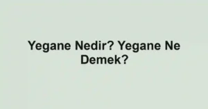 Yegane Nedir? Yegane Ne Demek?