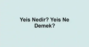 Yeis Nedir? Yeis Ne Demek?