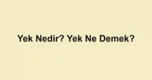 Yek Nedir? Yek Ne Demek?