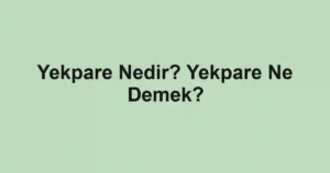 Yekpare Nedir? Yekpare Ne Demek?