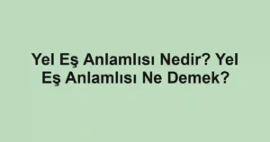 Yel Eş Anlamlısı Nedir? Yel Eş Anlamlısı Ne Demek?