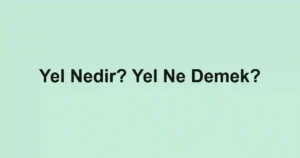 Yel Nedir? Yel Ne Demek?