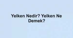 Yelken Nedir? Yelken Ne Demek?
