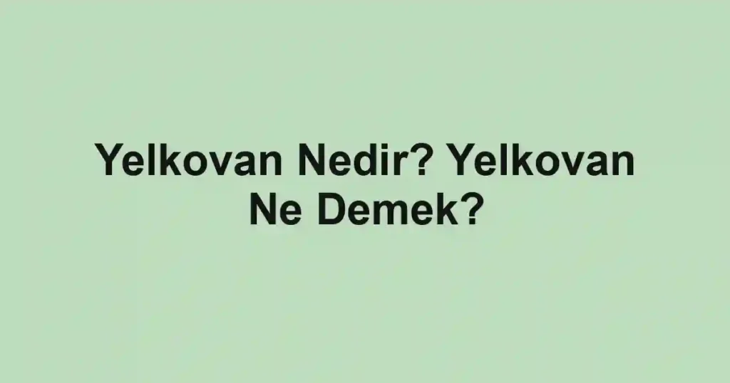 Yelkovan Nedir? Yelkovan Ne Demek?
