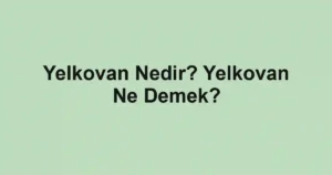 Yelkovan Nedir? Yelkovan Ne Demek?