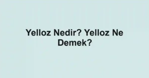 Yelloz Nedir? Yelloz Ne Demek?