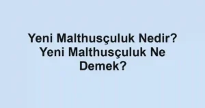 Yeni Malthusçuluk Nedir? Yeni Malthusçuluk Ne Demek?