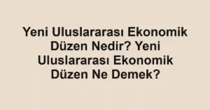 Yeni Uluslararası Ekonomik Düzen Nedir? Yeni Uluslararası Ekonomik Düzen Ne Demek?