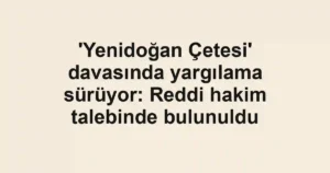 'Yenidoğan Çetesi' davasında yargılama sürüyor: Reddi hakim talebinde bulunuldu
