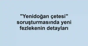 "Yenidoğan çetesi" soruşturmasında yeni fezlekenin detayları