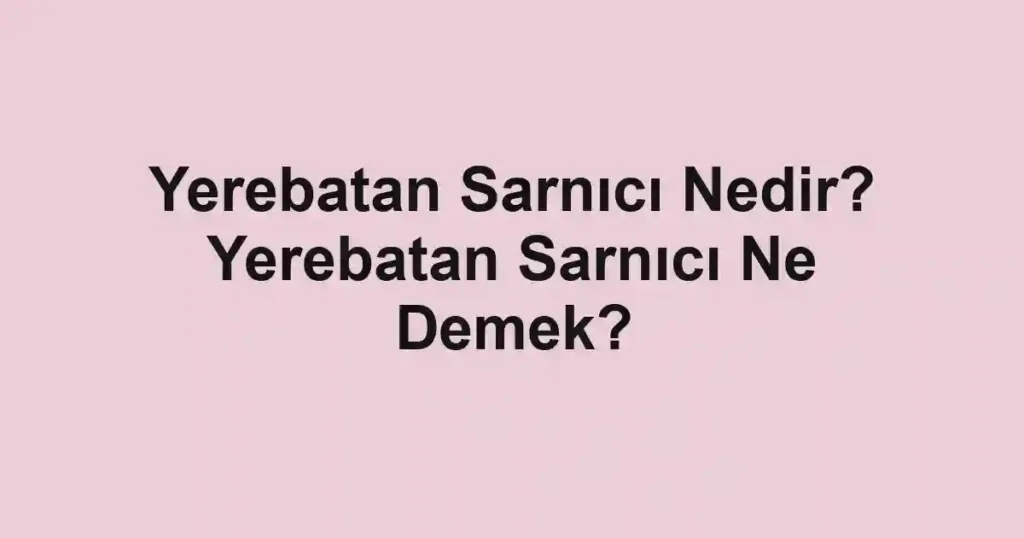 Yerebatan Sarnıcı Nedir? Yerebatan Sarnıcı Ne Demek?