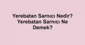 Yerebatan Sarnıcı Nedir? Yerebatan Sarnıcı Ne Demek?