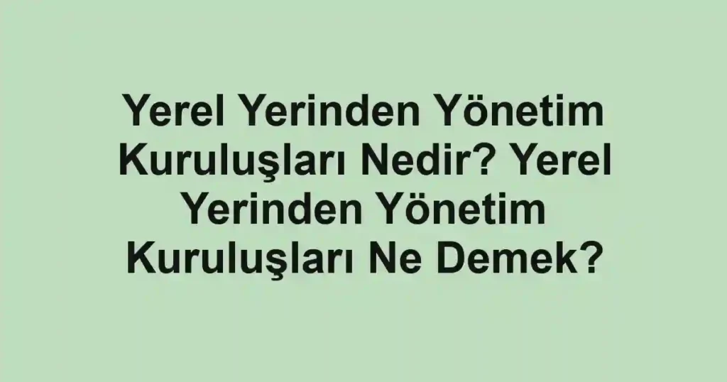 Yerel Yerinden Yönetim Kuruluşları Nedir? Yerel Yerinden Yönetim Kuruluşları Ne Demek?