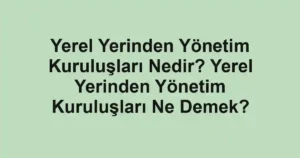 Yerel Yerinden Yönetim Kuruluşları Nedir? Yerel Yerinden Yönetim Kuruluşları Ne Demek?