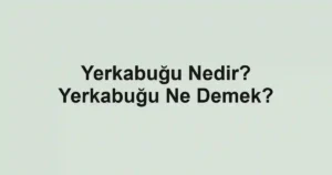 Yerkabuğu Nedir? Yerkabuğu Ne Demek?