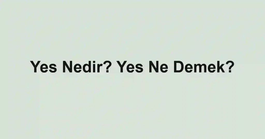 Yes Nedir? Yes Ne Demek?