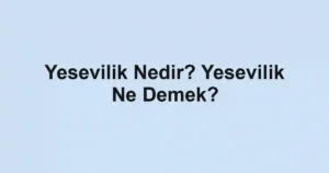 Yesevilik Nedir? Yesevilik Ne Demek?
