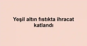 Yeşil altın fıstıkta ihracat katlandı