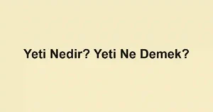 Yeti Nedir? Yeti Ne Demek?