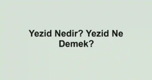 Yezid Nedir? Yezid Ne Demek?