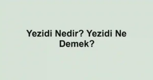 Yezidi Nedir? Yezidi Ne Demek?