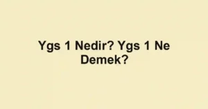 Ygs 1 Nedir? Ygs 1 Ne Demek?