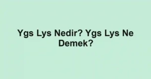 Ygs Lys Nedir? Ygs Lys Ne Demek?