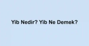 Yib Nedir? Yib Ne Demek?