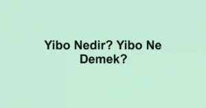 Yibo Nedir? Yibo Ne Demek?