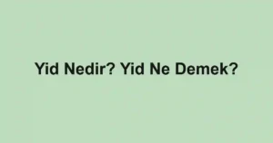 Yid Nedir? Yid Ne Demek?