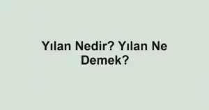 Yılan Nedir? Yılan Ne Demek?