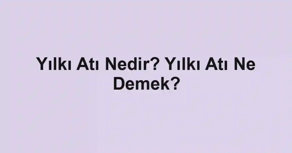 Yılkı Atı Nedir? Yılkı Atı Ne Demek?