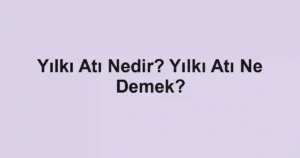 Yılkı Atı Nedir? Yılkı Atı Ne Demek?