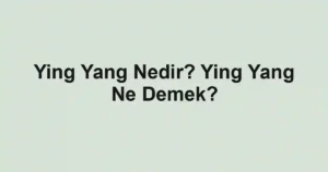 Ying Yang Nedir? Ying Yang Ne Demek?
