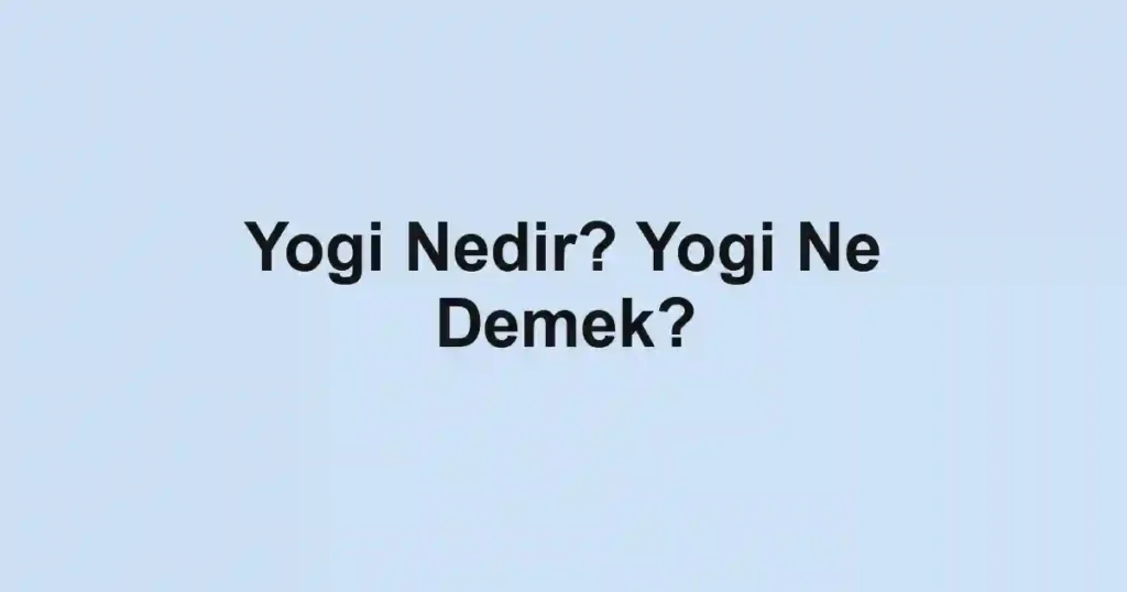 Yogi Nedir? Yogi Ne Demek?