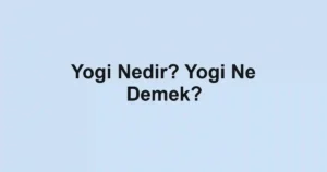 Yogi Nedir? Yogi Ne Demek?