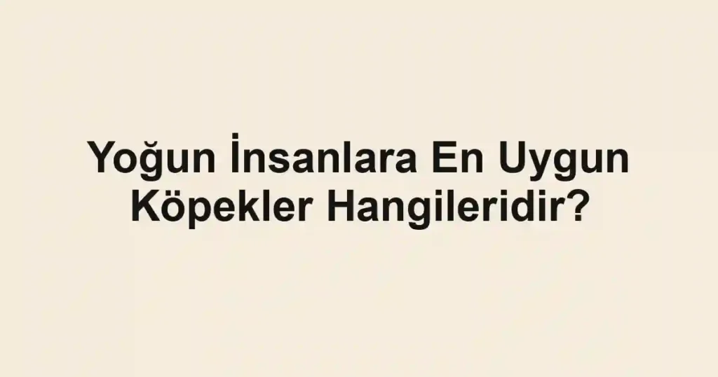 Yoğun İnsanlara En Uygun Köpekler Hangileridir?
