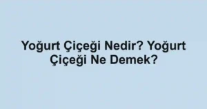 Yoğurt Çiçeği Nedir? Yoğurt Çiçeği Ne Demek?